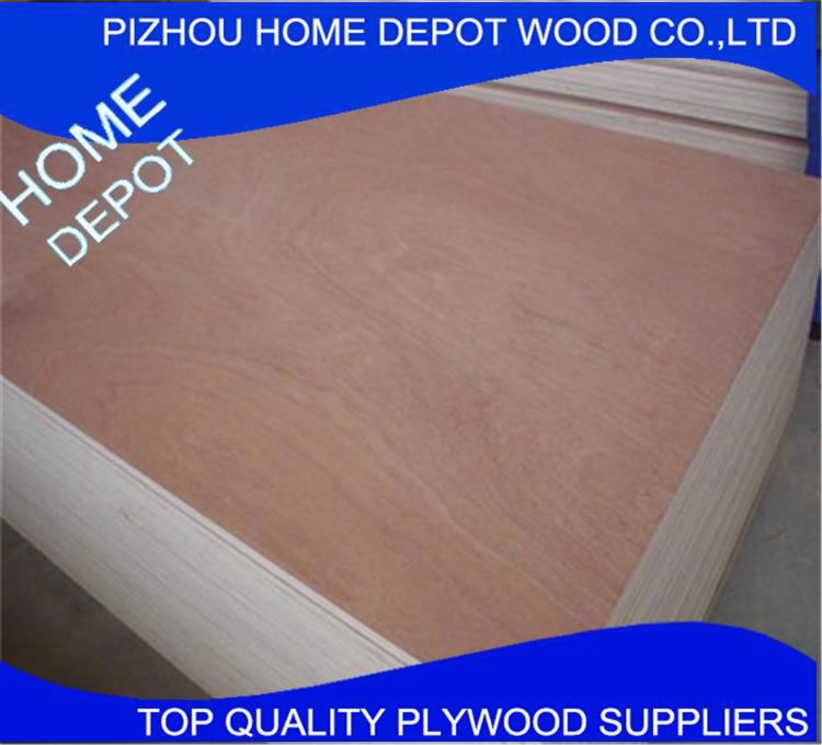 Best Quality Building Material of Film Plywood From Xuzhou China 4