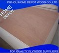 Best Quality Building Material of Film Plywood From Xuzhou China 4
