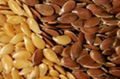 High quality Flax Seeds