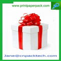 Printed Customized Lovely Paper Gift Box for Packaging 2