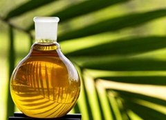 100% pure refined palm oil 