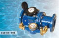 AMICO Combination water meter 1