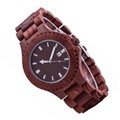 Wooden  Watch SMT-8028