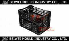 new made quality tulip bulb crate plastic mold factory price