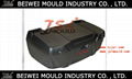 Top quality Injection plastic electromobile rear container mould 2