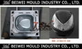 Top quality Injection plastic electromobile rear container mould 1