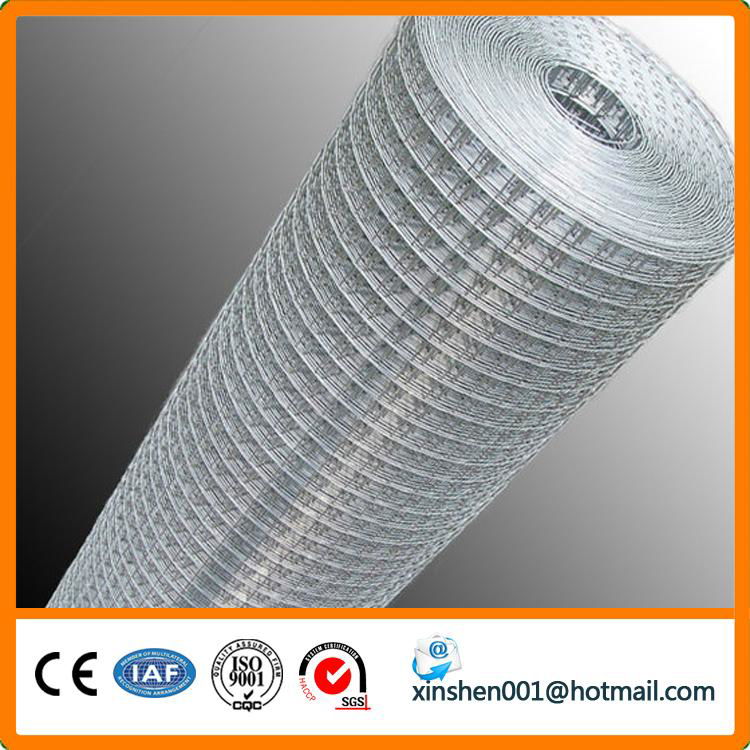 Welded wire mesh 2