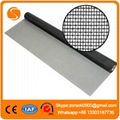 Stainless Steel Wire Mesh in anping 1