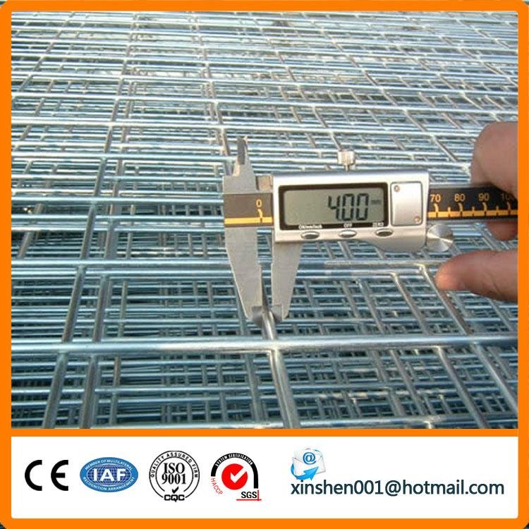 after galvanized welded wire mesh 3