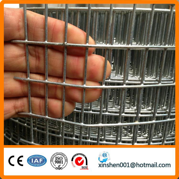 after galvanized welded wire mesh 4