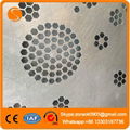 Stainless Steel Metal Perforated Sheet 5