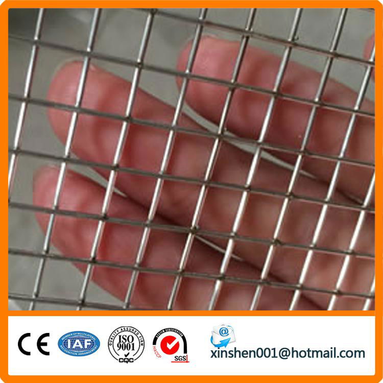 China supplier welded wire mesh