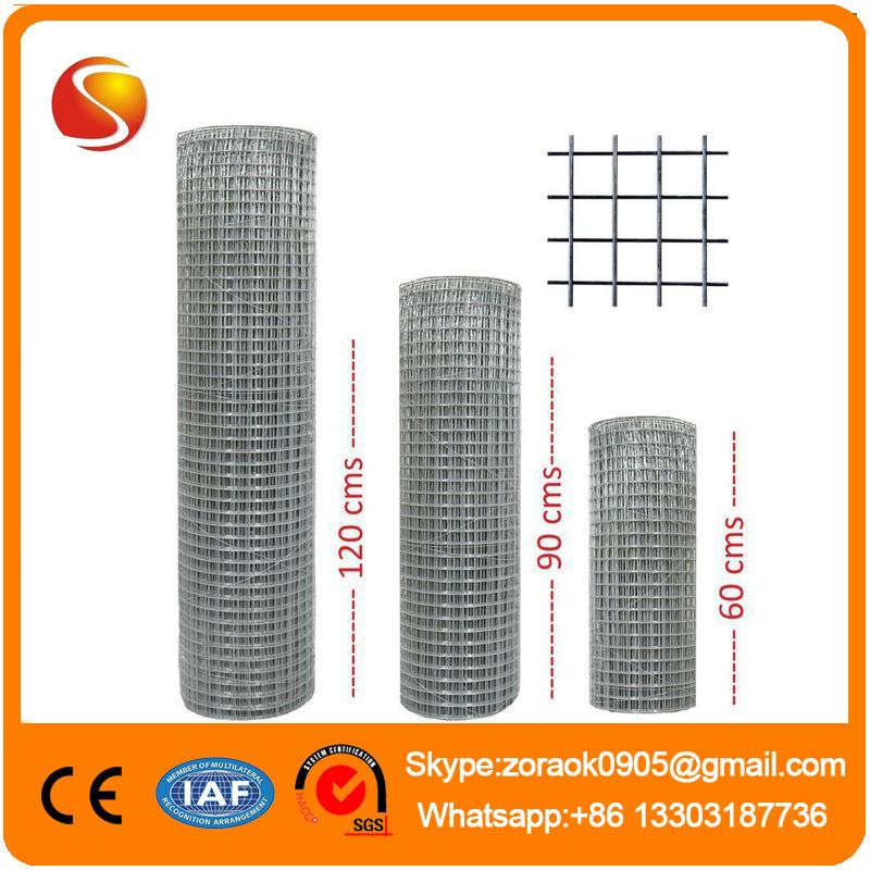 China supplier welded wire mesh 2