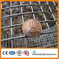 China supplier welded wire mesh 3