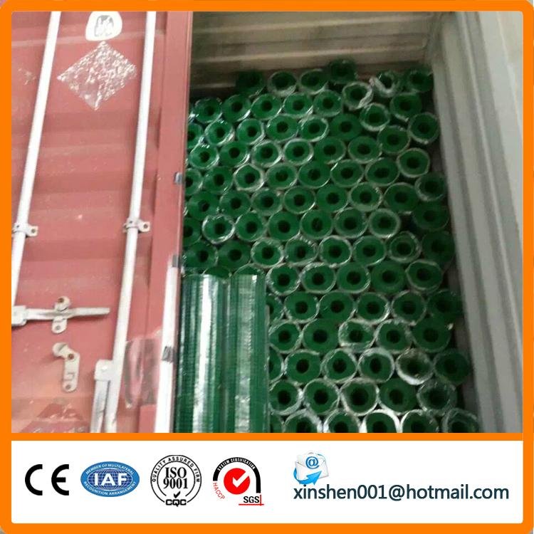 China supplier welded wire mesh 4