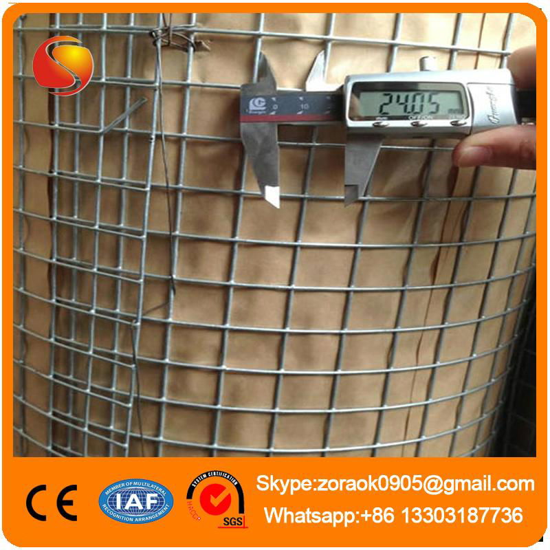 China supplier welded wire mesh 5