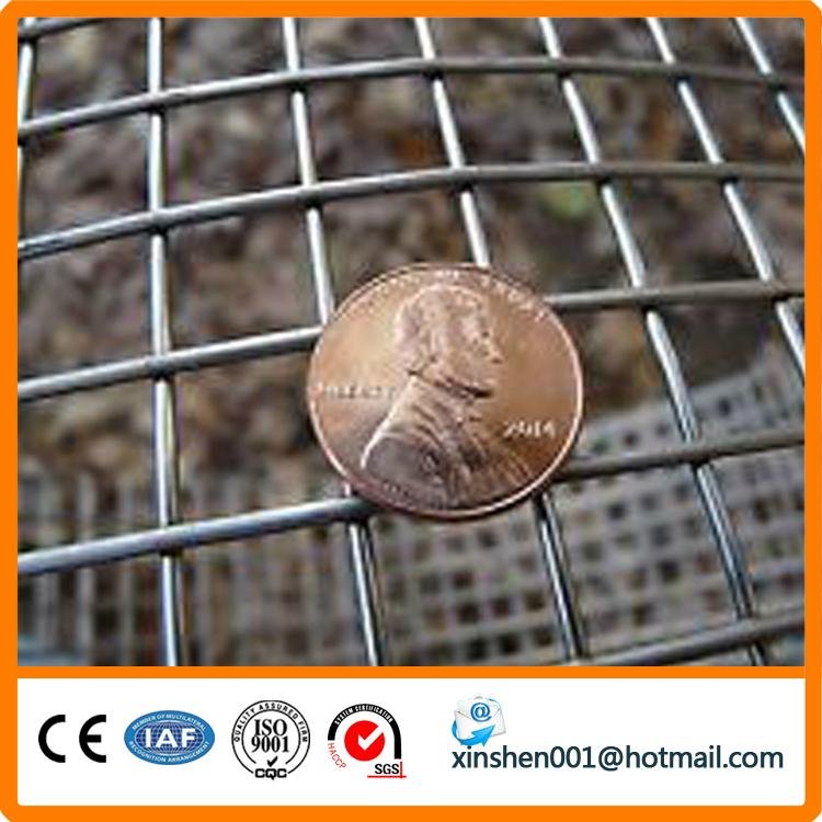Anping factory galvanized welded wire mesh