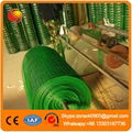 Anping factory galvanized welded wire mesh 4