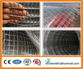 Galvanized welded wire mesh factory