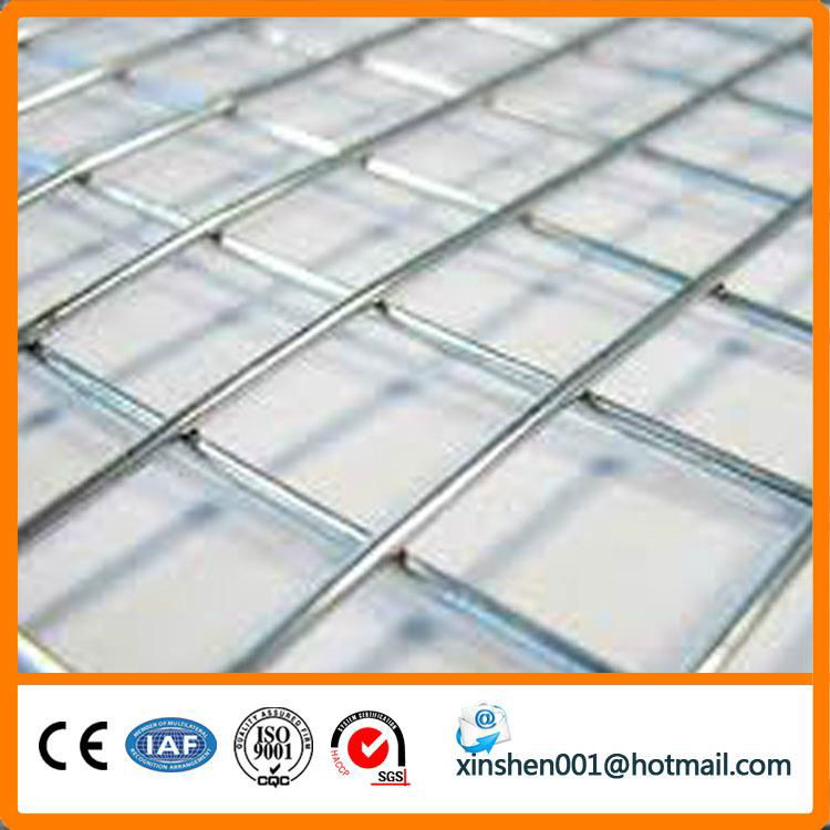 Galvanized welded wire mesh factory 2