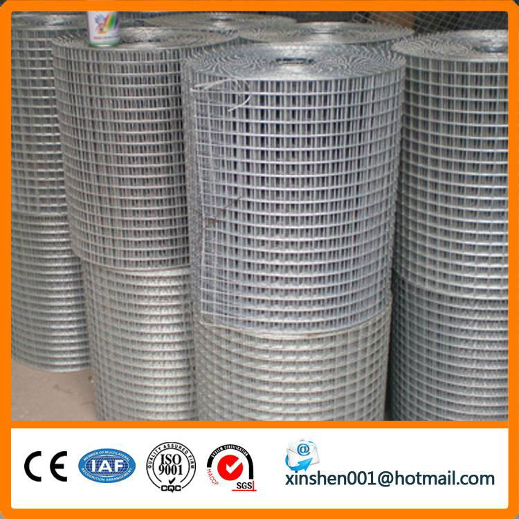 Galvanized welded wire mesh factory 3