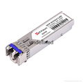 10G CWDM SFP+ Transceiver 1