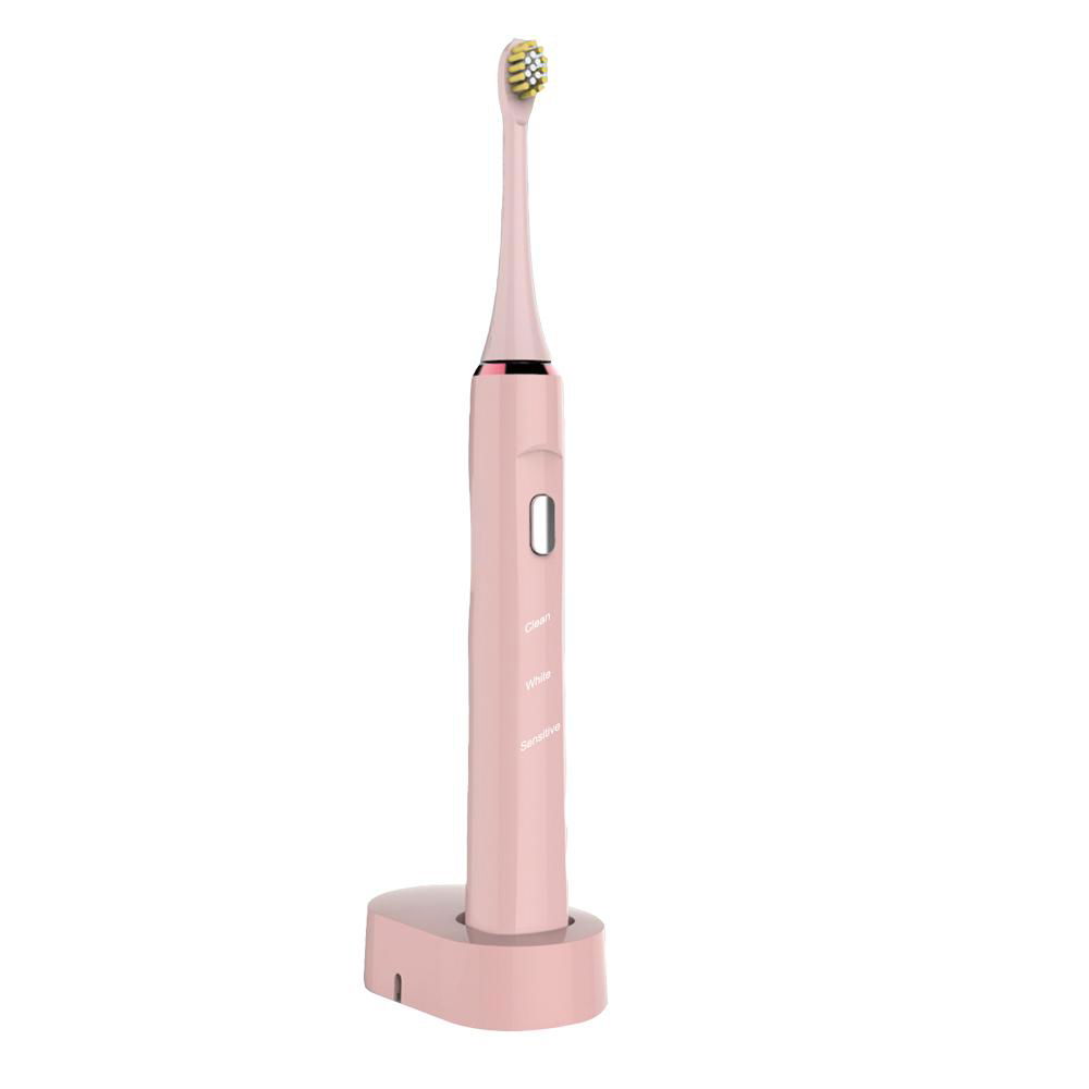 Professional Sonic Toothbrush 2