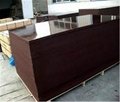 China Manufacturer top quality film faced plywood 4