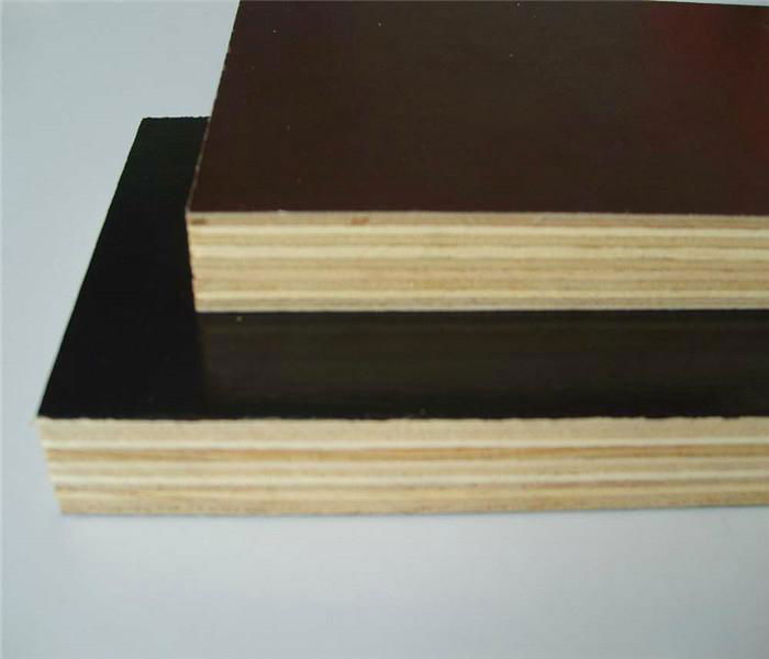 poplar core 12mm 15mm 18mm brown black film faced plywood 3