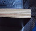 Hot Sales Film Faced Plywood for