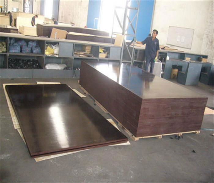Hot Sales Film Faced Plywood for construction concrete formwork 5
