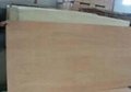 4' x 8' Poplar Veneer Sheet Marine Commercial Plywood