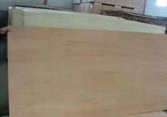 4' x 8' Poplar Veneer Sheet Marine Commercial Plywood