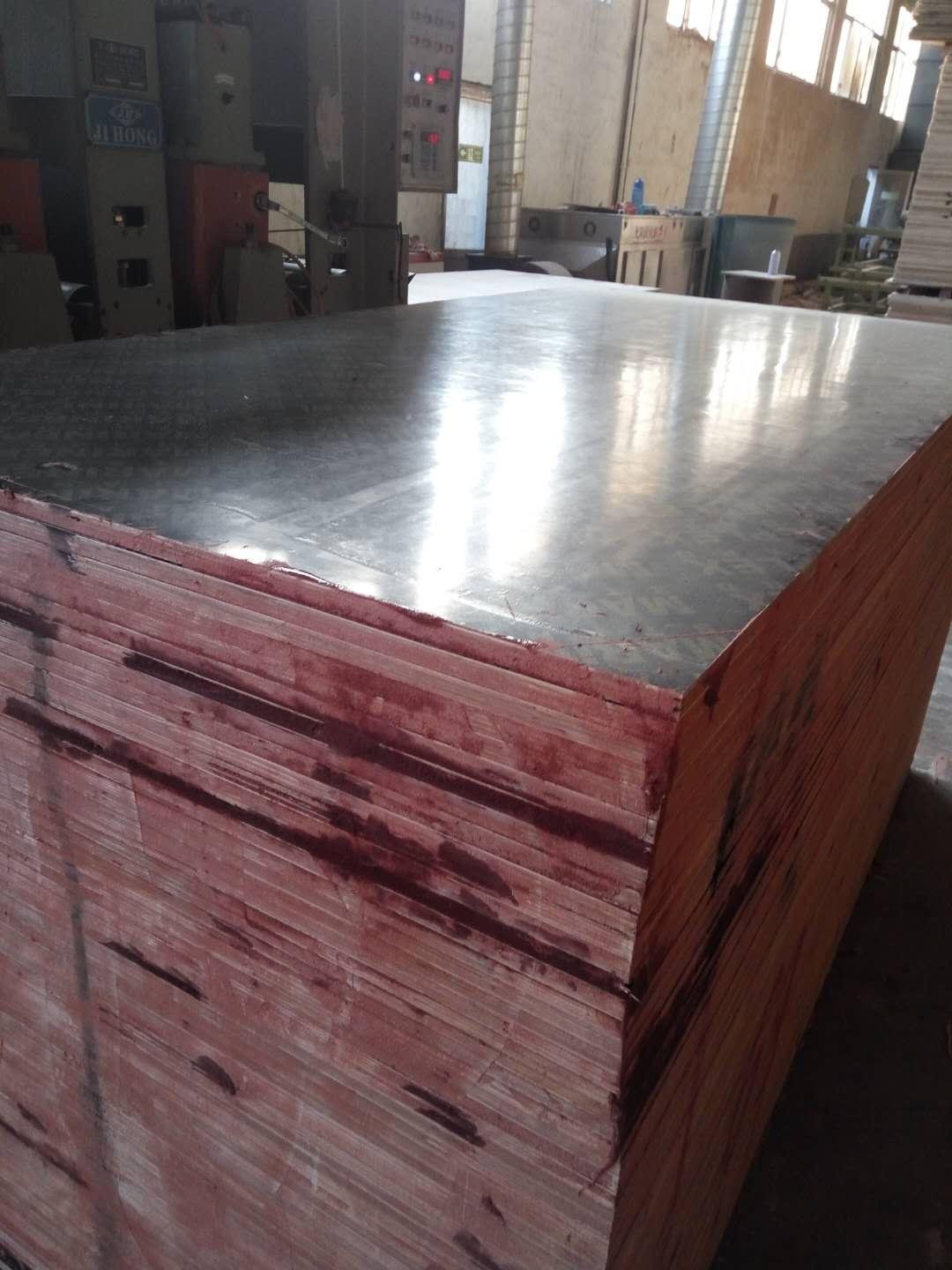 China Factory Good Quality Film Faced Plywood For Construction 5