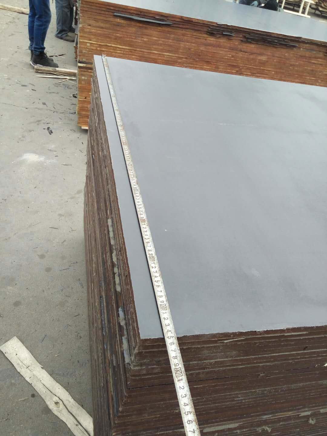 wbp glue poplar core film faced plywood from china manufacturer