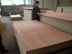 China Cheap and Best Selling Commercial Plywood to MID-East Market