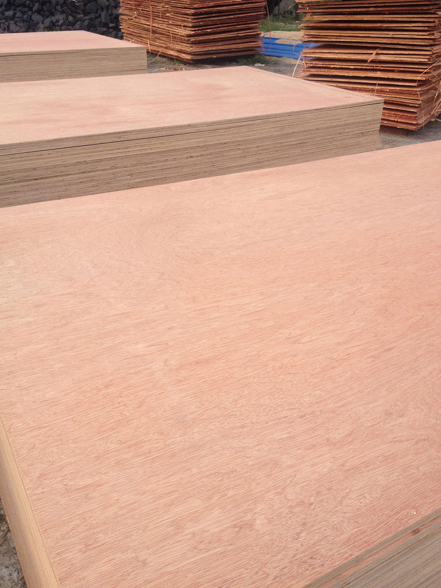 China Cheap and Best Selling Commercial Plywood to MID-East Market 3