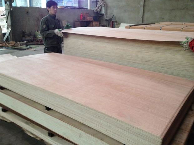 China Cheap and Best Selling Commercial Plywood to MID-East Market 4