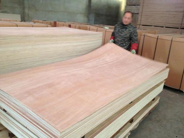 China Cheap and Best Selling Commercial Plywood to MID-East Market 5