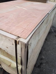 High quality film faced plywood supplier from china,Film Faced Construction Plyw