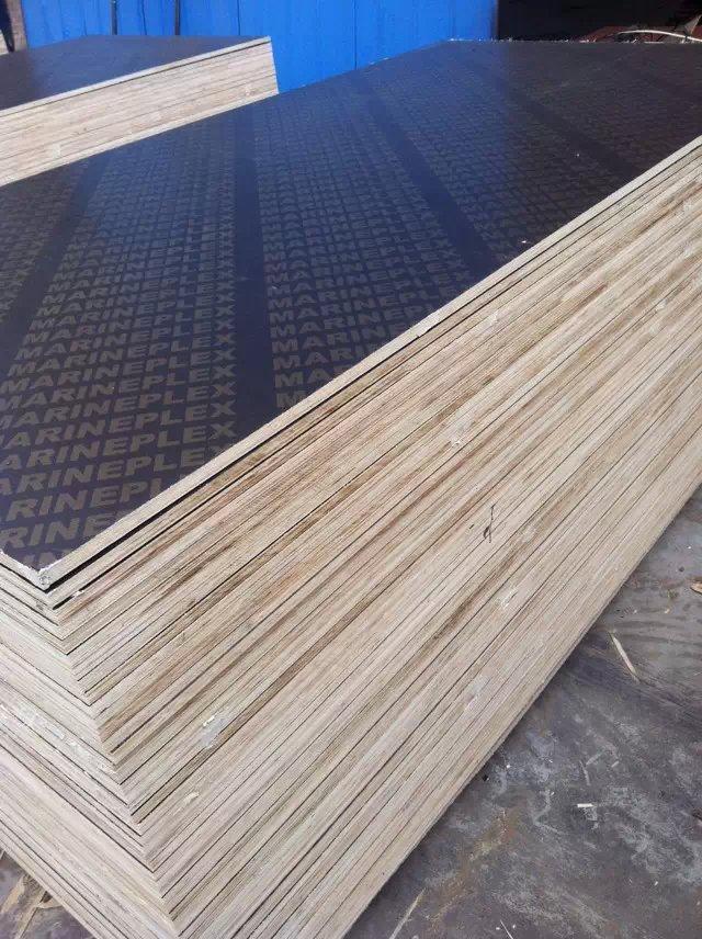 Good quality film faced plywood at competitive price 2