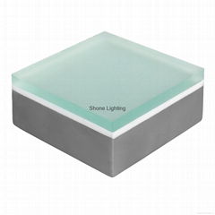 Guangdong Shone Lighting Co. Ltd
