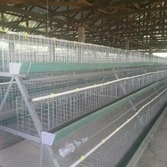 Type a chicken layer cages for sale
