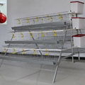 poultry farm chicken egg layer cages