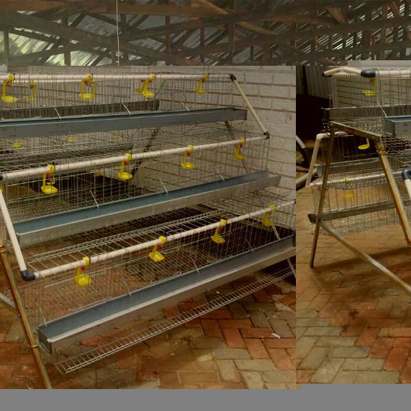 small chicken laying cage for egg chicken used in chickens