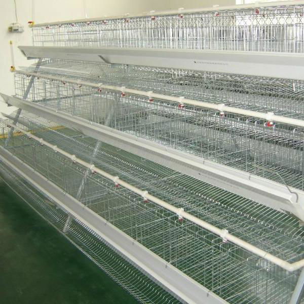 wholesale bird cage chicken wire mesh cage YZC5 YIZE (China
