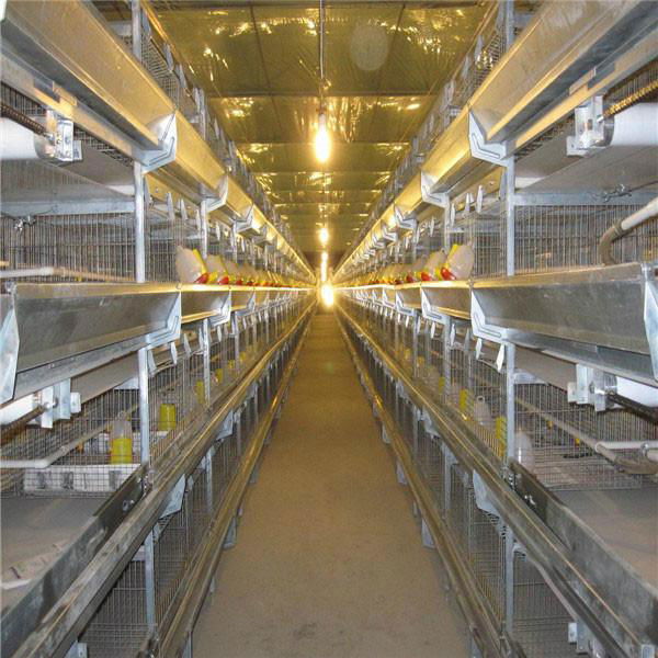 layer bird broiler chicken battery cage for chicken farm