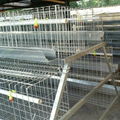 layer bird broiler chicken battery cage for chicken farm 4