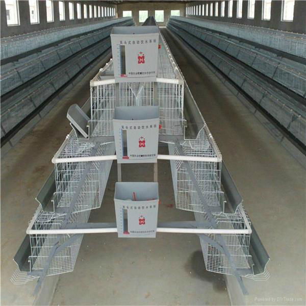 saudi arabia poultry farm equipment commercial 24 hole chicken nest box brooder  4