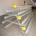 poultry layer farming equipment specifications 2